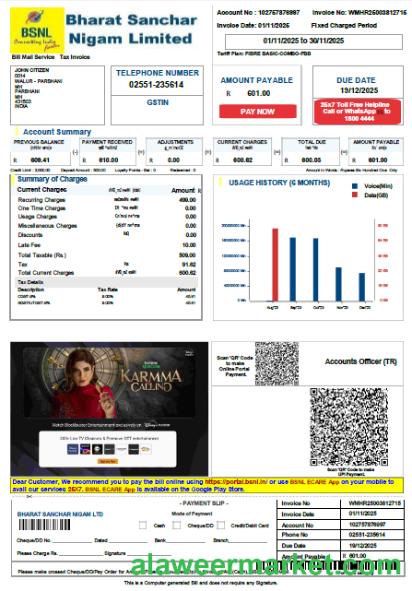 India Bharat Sanchar Nigam Limited utility bill template in Word and PDF formats, version 3